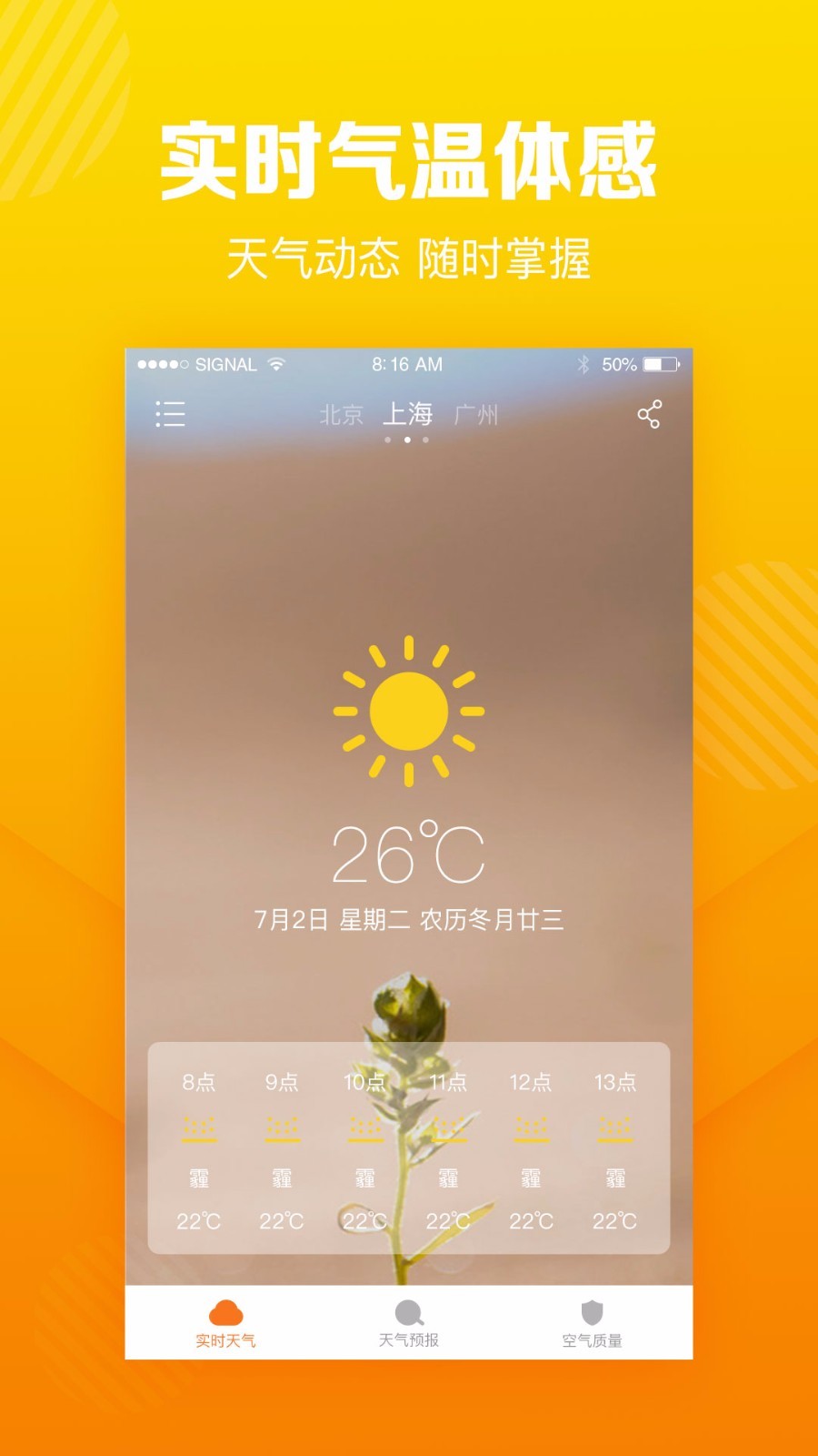 菠萝天气原版图4