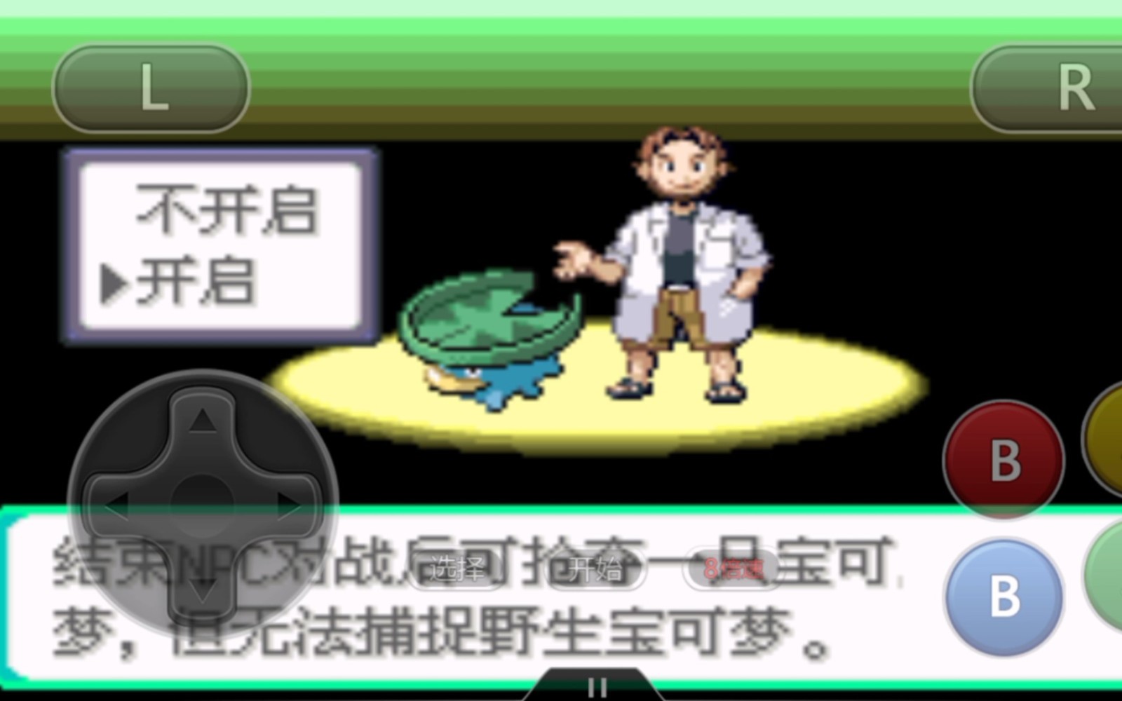 口袋妖怪传说绿宝石手机版(3)