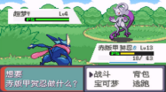口袋妖怪传说绿宝石手机版(1)