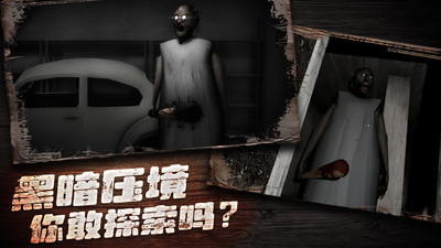 奶奶别追我免费版(4)
