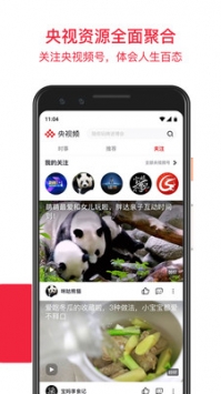 央视频手机最新版-图1