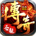 苍龙忘忧传奇安卓版