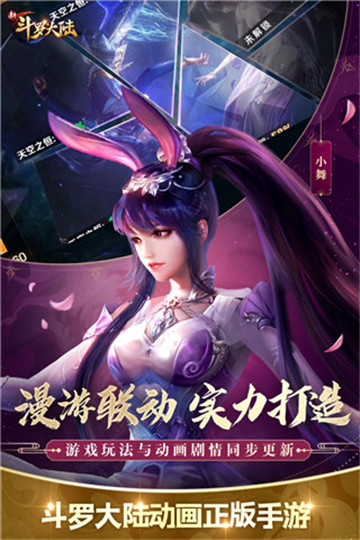 新斗罗大陆游戏(5)