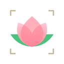 识花君手机免费版