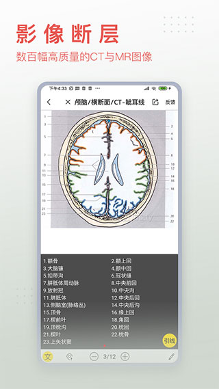 3dbody解剖官方版-图2