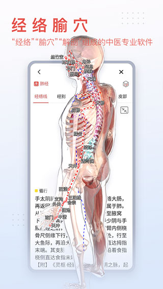 3dbody解剖官方版-图4