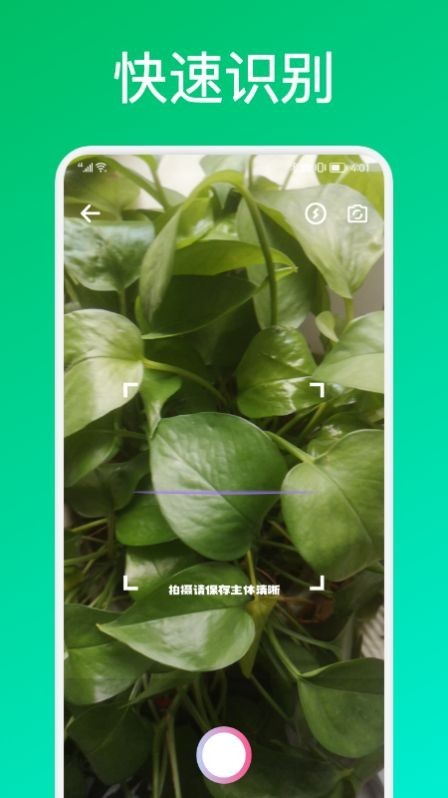 识花君植物识别安卓官方版-图1