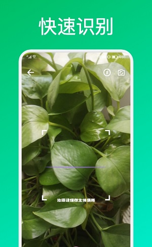 识花君植物识别最新版-图1