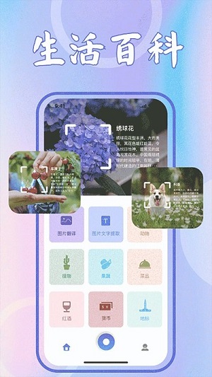 识花君植物识别最新版-图3