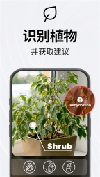 TapScanner免费版图4