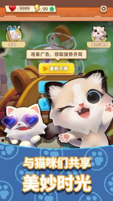 养只大肥猫游戏纯净最新版图3