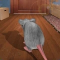 猫鼠之战手机免费版
