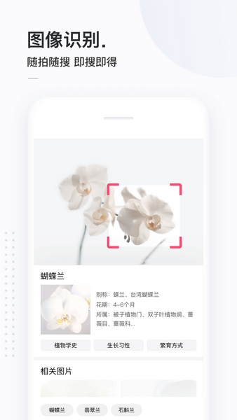 简单搜索最新免费版-图3