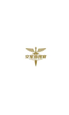空军指挥官游戏图1