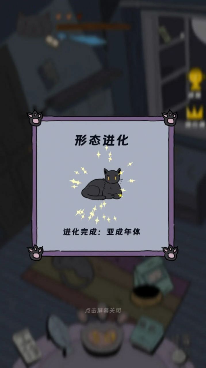 猫猫喵喵图2