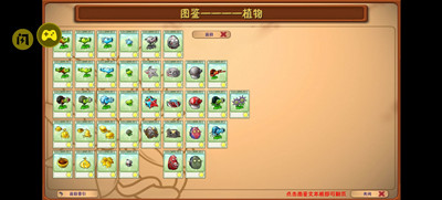 植物大战僵尸高数二创版图2