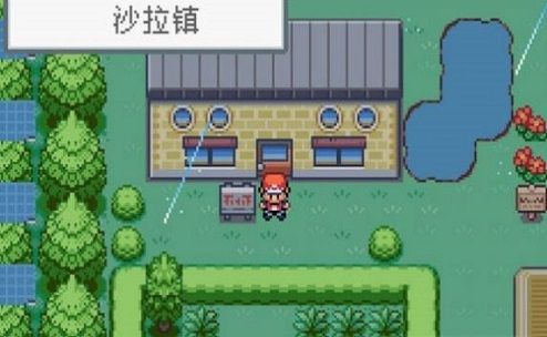口袋妖怪格查尔图3