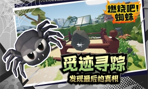 燃烧吧蜘蛛免费图1