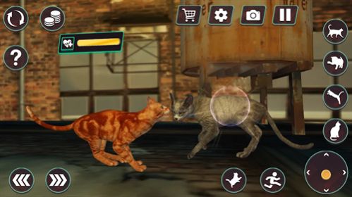 猫咪格斗战争模拟器游戏正式版1