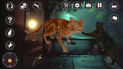猫咪格斗战争模拟器游戏正式版2