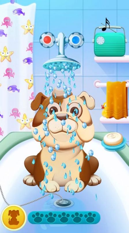 动物护理游戏最新版（Animal Care） v1.2图1