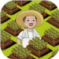 有块菜地游戏红包版