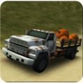 DirtRoadTrucker3D中文版游戏下载-DirtRoadTrucker3D中文版最新下载