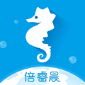 注意力在线训练软件手机版