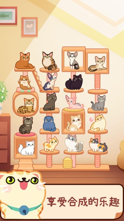 合成吧猫咪3