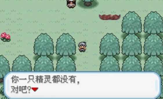 口袋妖怪四季之约金手指(2)