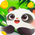 好运熊猫领红包  v1.0.5