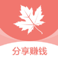 枫叶网手机版