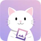 图叨叨高级版
