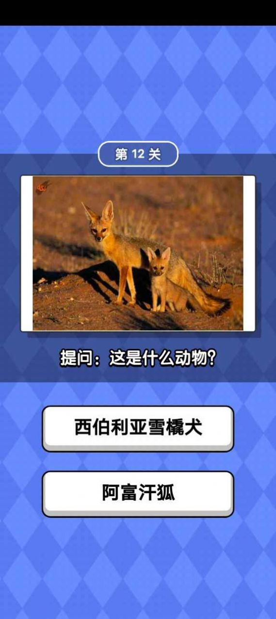 动物滑滑乐领福利红包版(3)