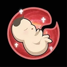 的人生