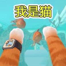 couple game趣味大挑战