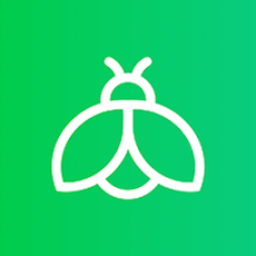 萤火虫