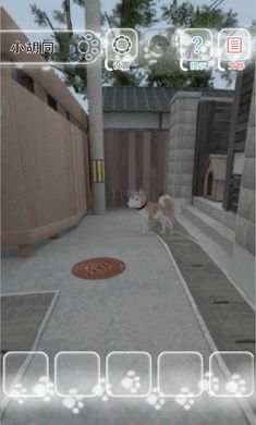 迷途猫手机版图3