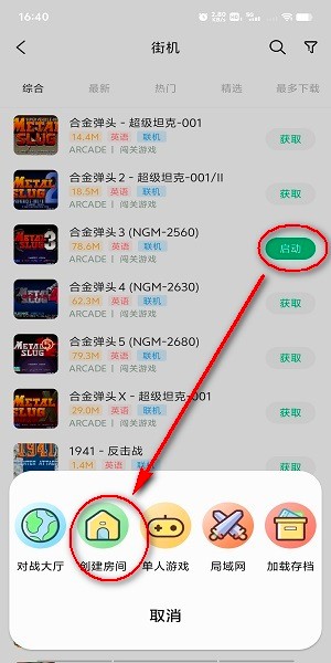小马模拟器2025旧版本(2)
