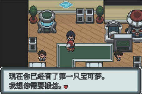 口袋妖怪白金汉化版(2)