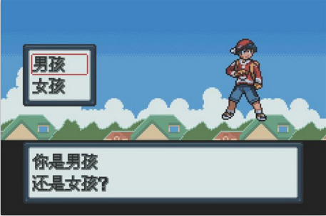 口袋妖怪白金汉化版(1)