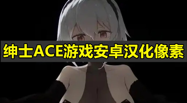 绅士ACE游戏安卓汉化像素