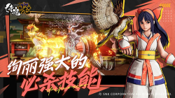 侍魂晓手机版图3