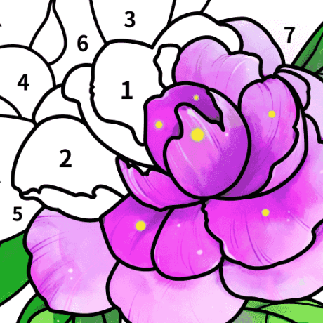 Color by Number填色
