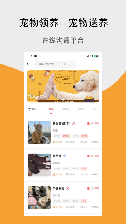 宠夫子图2