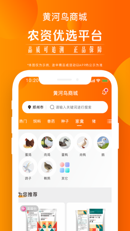 黄河鸟商城图2
