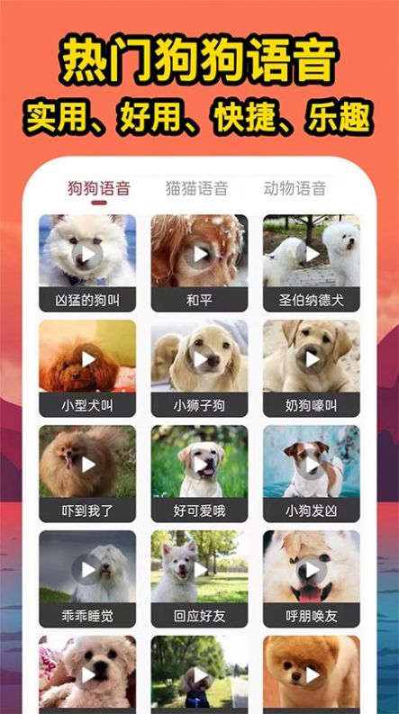 人人猫狗翻译交流器安卓版图2