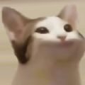 popcat.click安卓版