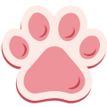 猫爪大赢家红包版