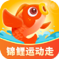 锦鲤运动走运动打卡软件 